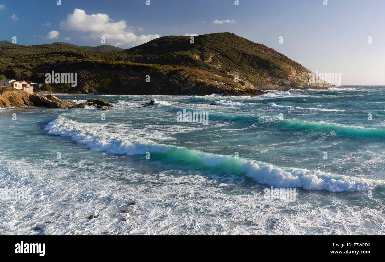 Surf near Port de Centuri, Cap Corse, Haute-Corse, Corsica, France Stock Photo