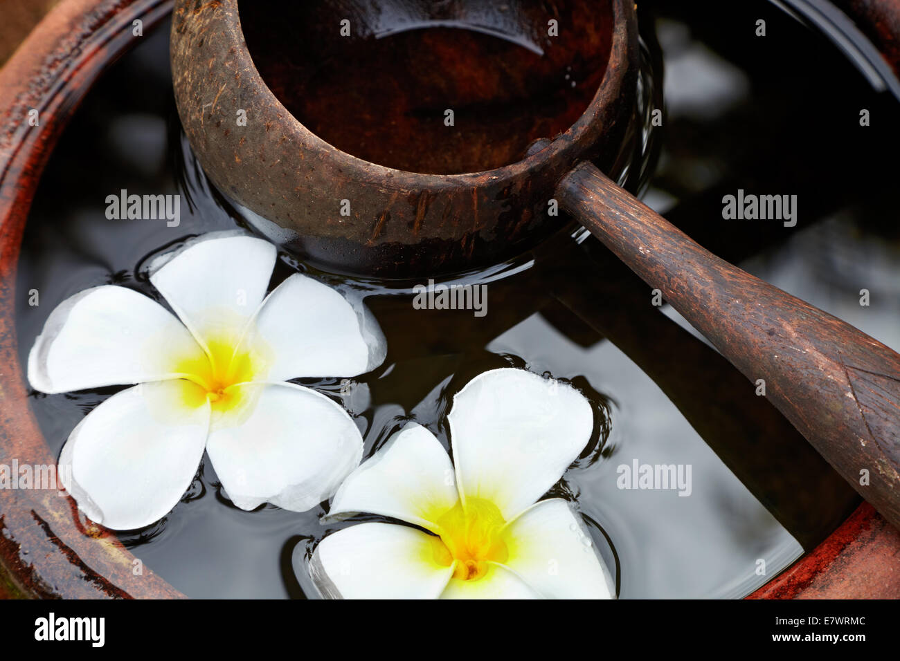 Water-filled ceramic pot with a wooden scoop and flowers Stock Photo