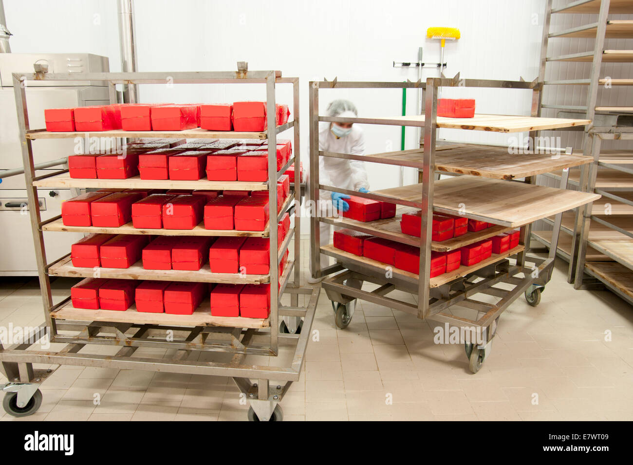 Industrial production of hard cheeses. Cheese is very tasty and healthy product Stock Photo