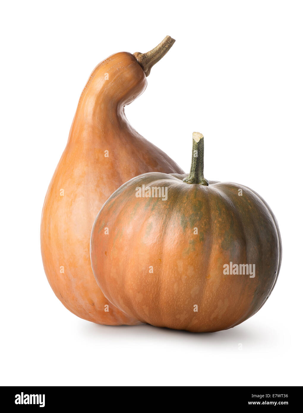 Orange pumpkin isolated on a white background Stock Photo - Alamy