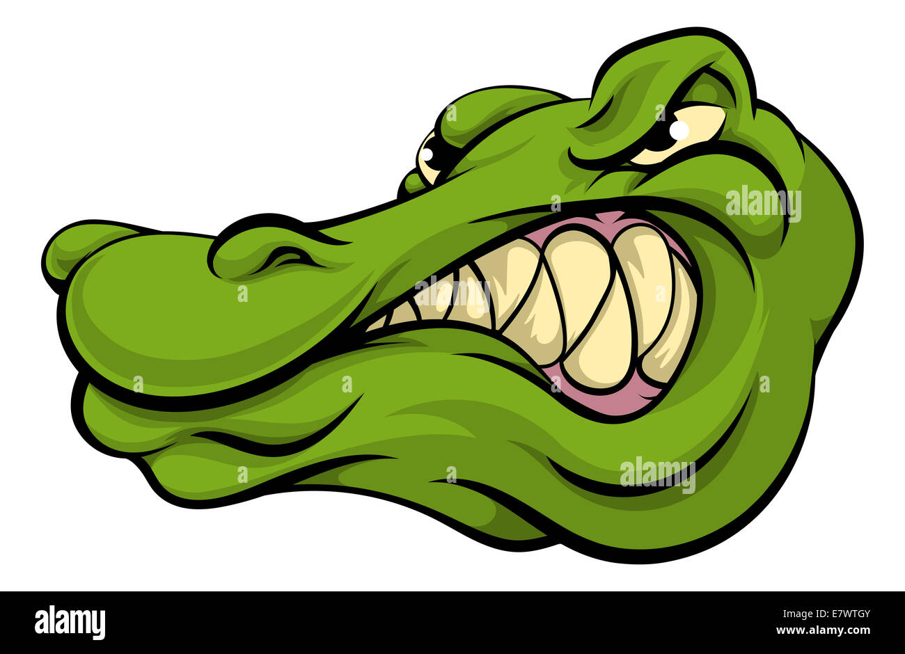 Crocodile alligator cartoon character head hi-res stock photography and  images - Alamy