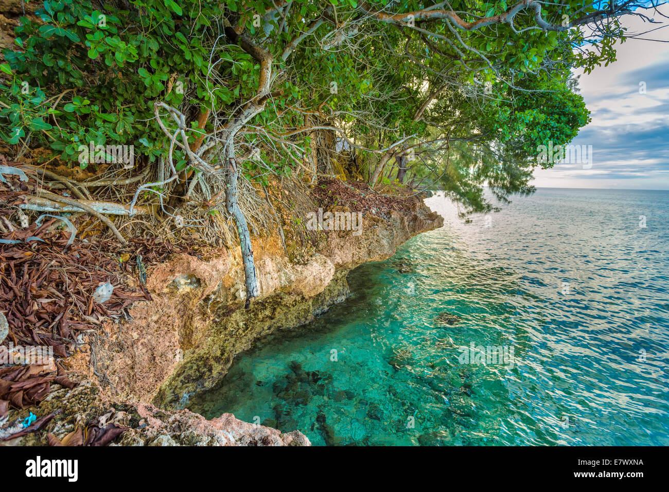 Dense vegetation on the side of a rocky coast of Prison Island in Zanzibar, Tanzania Stock Photo