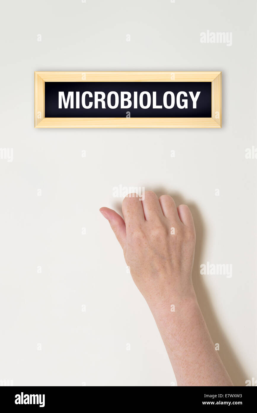 Female hand is knocking on Microbiology door for a medical exam Stock