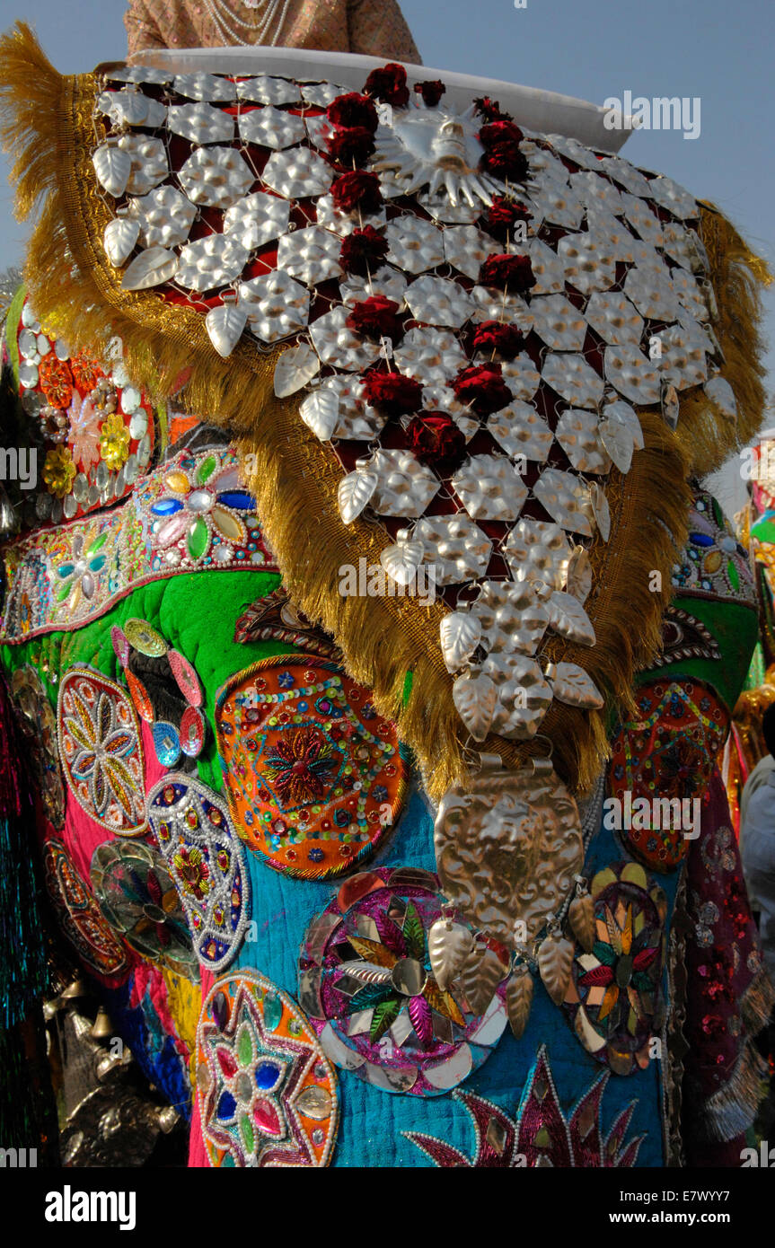 An Ornately decorated Elephant at the Jaipur Elephant Festival of 2009 Stock Photo