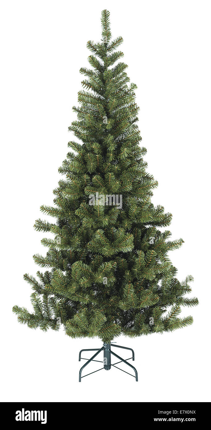 christmas tree Stock Image