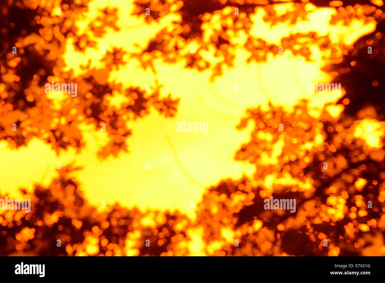 Vivid abstract orange and brown pattern, shape, background Stock Photo