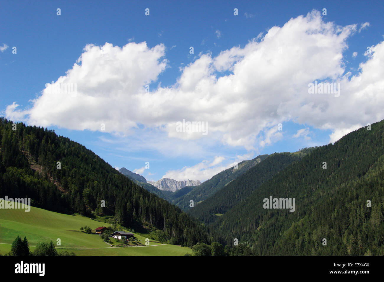 Austrian Alps in a sunny summer day Stock Photo - Alamy