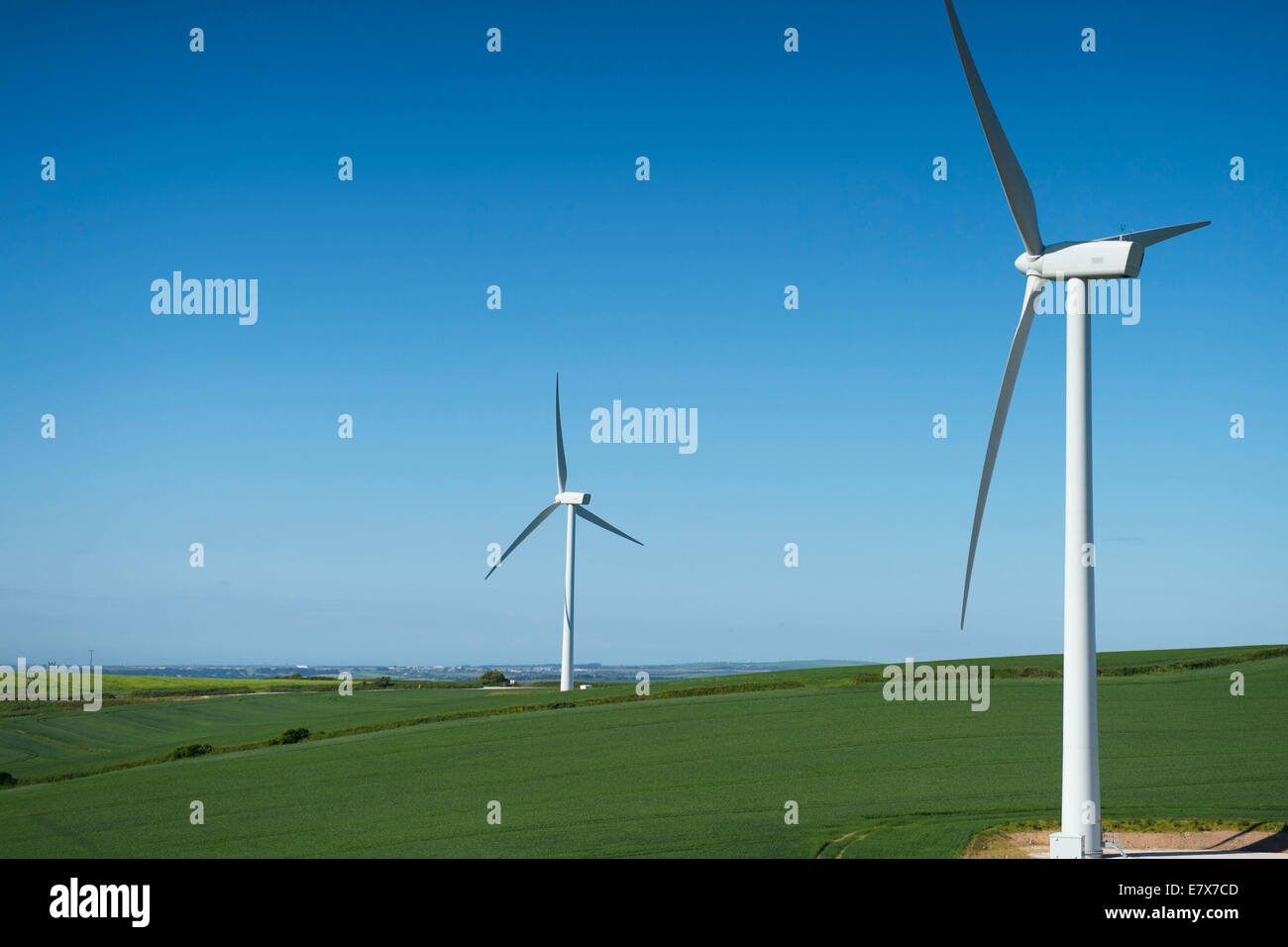 Wind turbines producing renewable green energy on a green hill with a blue sky in Cornwall, England. Stock Photo