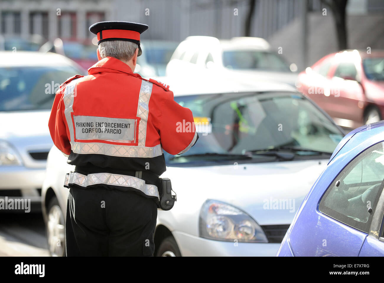 A traffic warden (civil enforcement officer) on patrol issuing parking tickets to illegally parked cars in Cardiff, Wales. Stock Photo