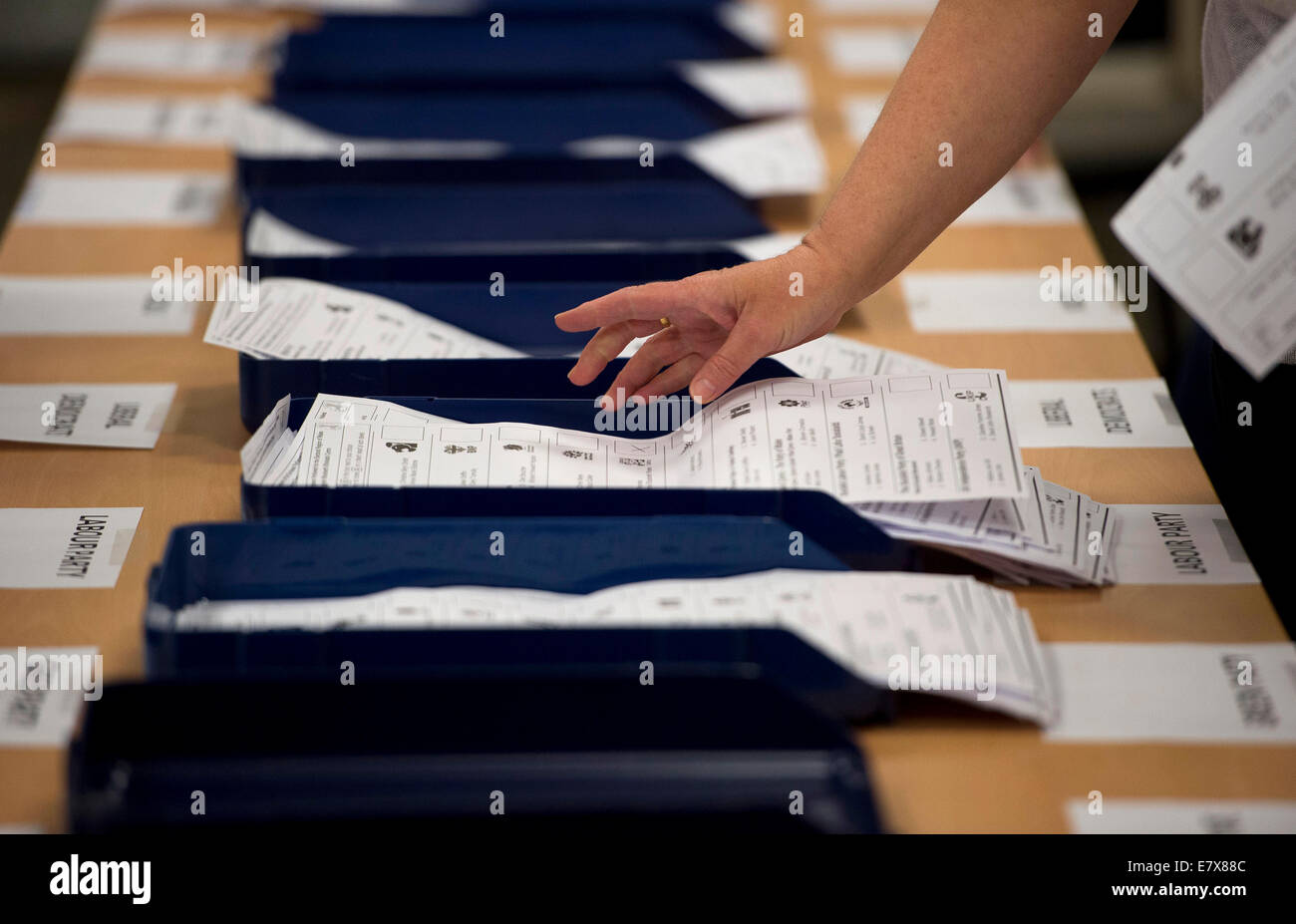 Ballot paper votes are counted by vote counters during the European election in Merthyr Tydfil. Stock Photo