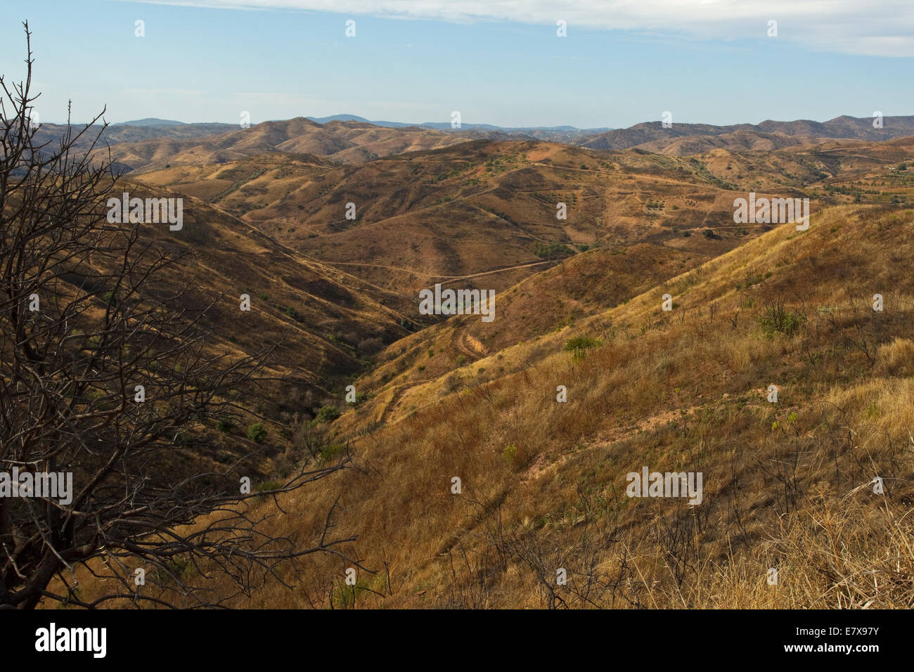 Rounded ridges hi-res stock photography and images - Alamy