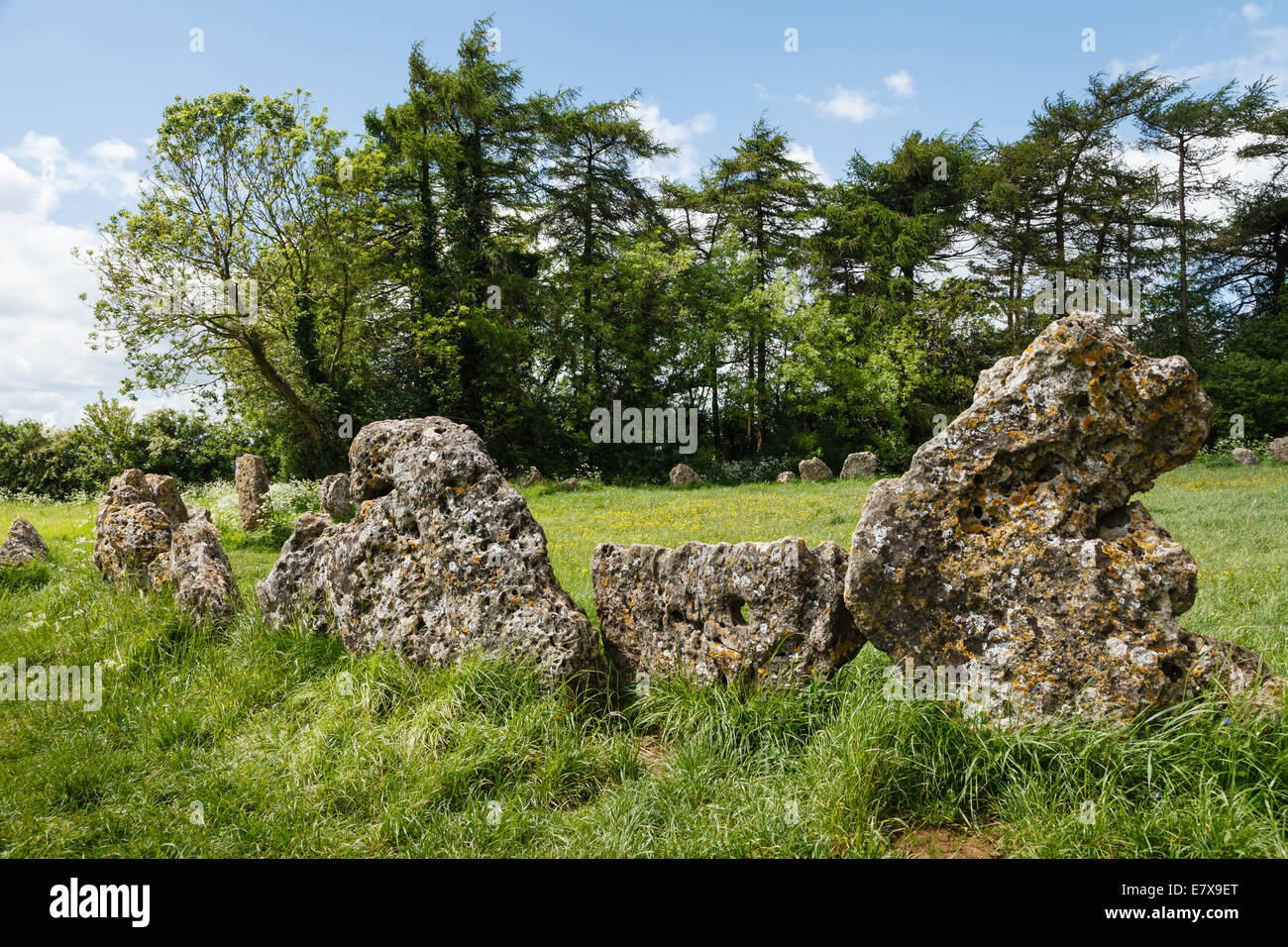 Rollright Stones, near Long Compton, Oxfordshire Stock Photo