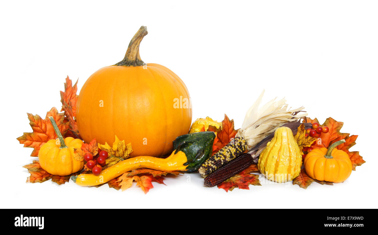 Autumn arrangement of pumpkins and gourds with red leaves Stock Photo ...