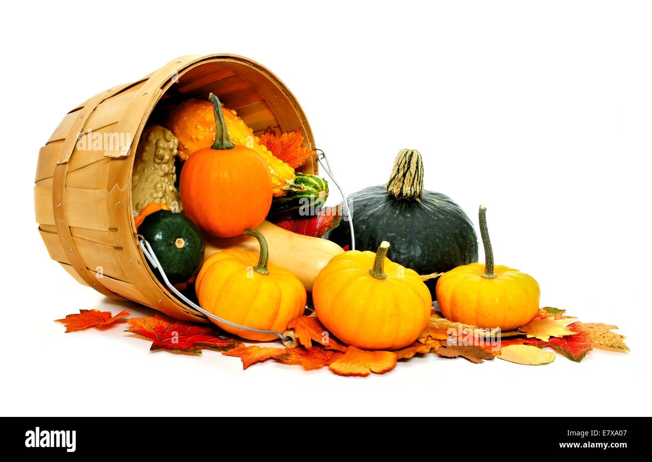 Small Fall Pails Decorative pail hi-res stock photography and images - Alamy