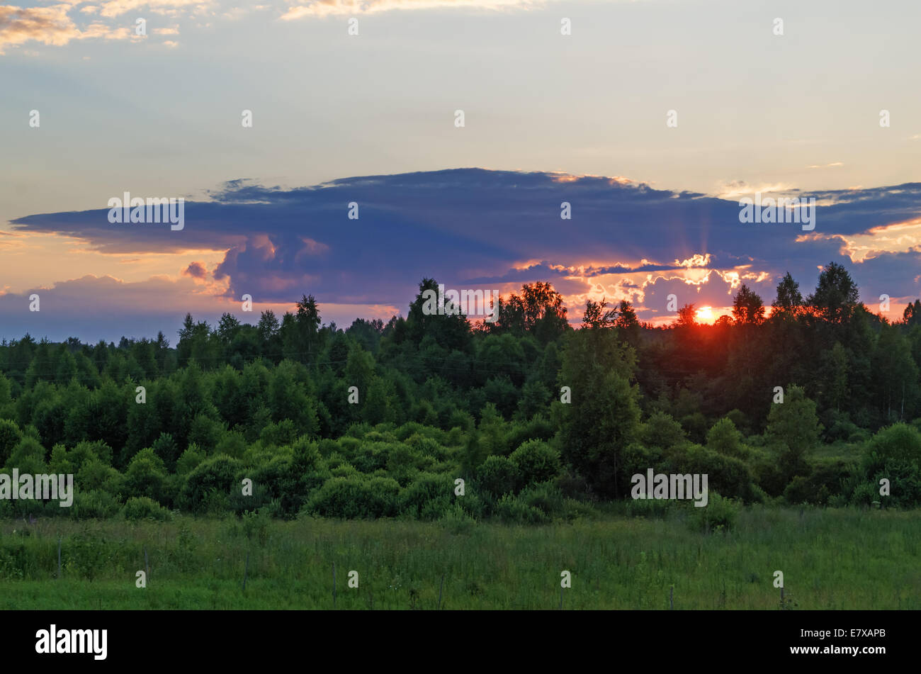 Sunset rays on evening cloudy sky and green forest Stock Photo - Alamy