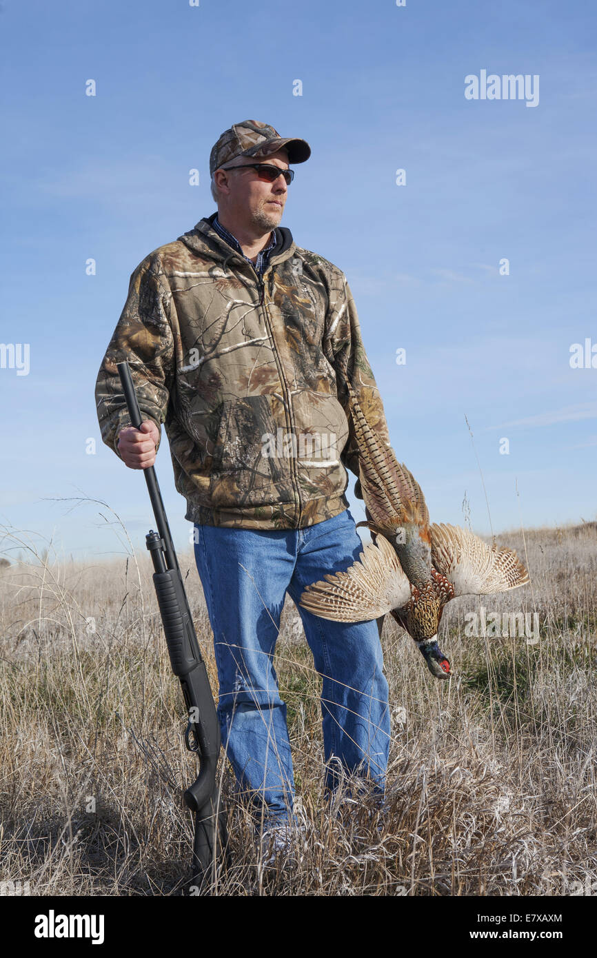 Hunter standing in field holding ring-necked pheasant and shot gun Stock Photo
