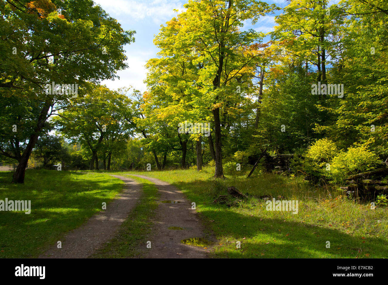 A road on Manitoulin Island, Ontario Stock Photo Alamy A road on Manitoulin Island, Ontario Stock Photo Alamy