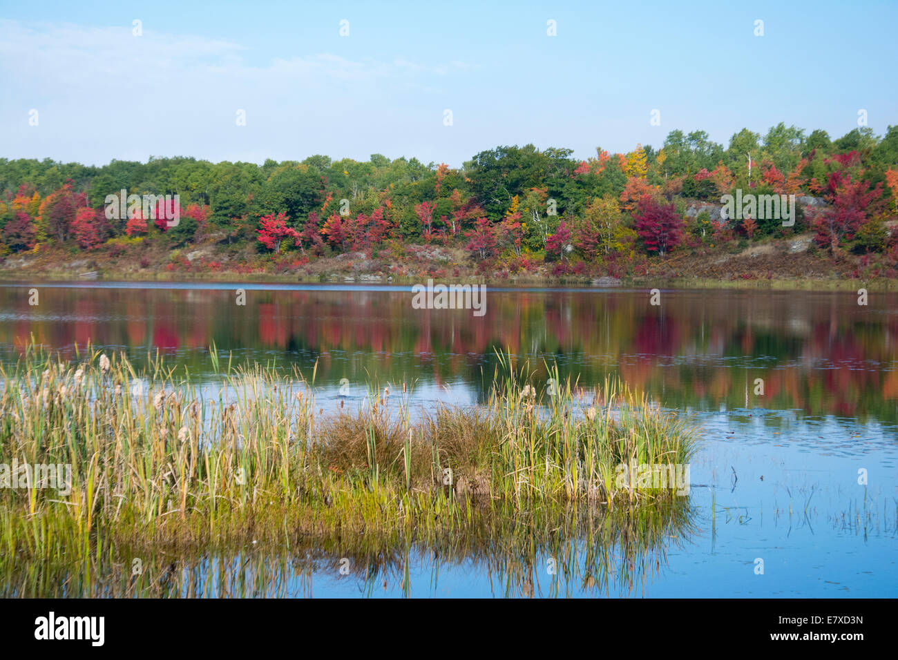 A lake in Northern Ontario in autumn. Stock Photo