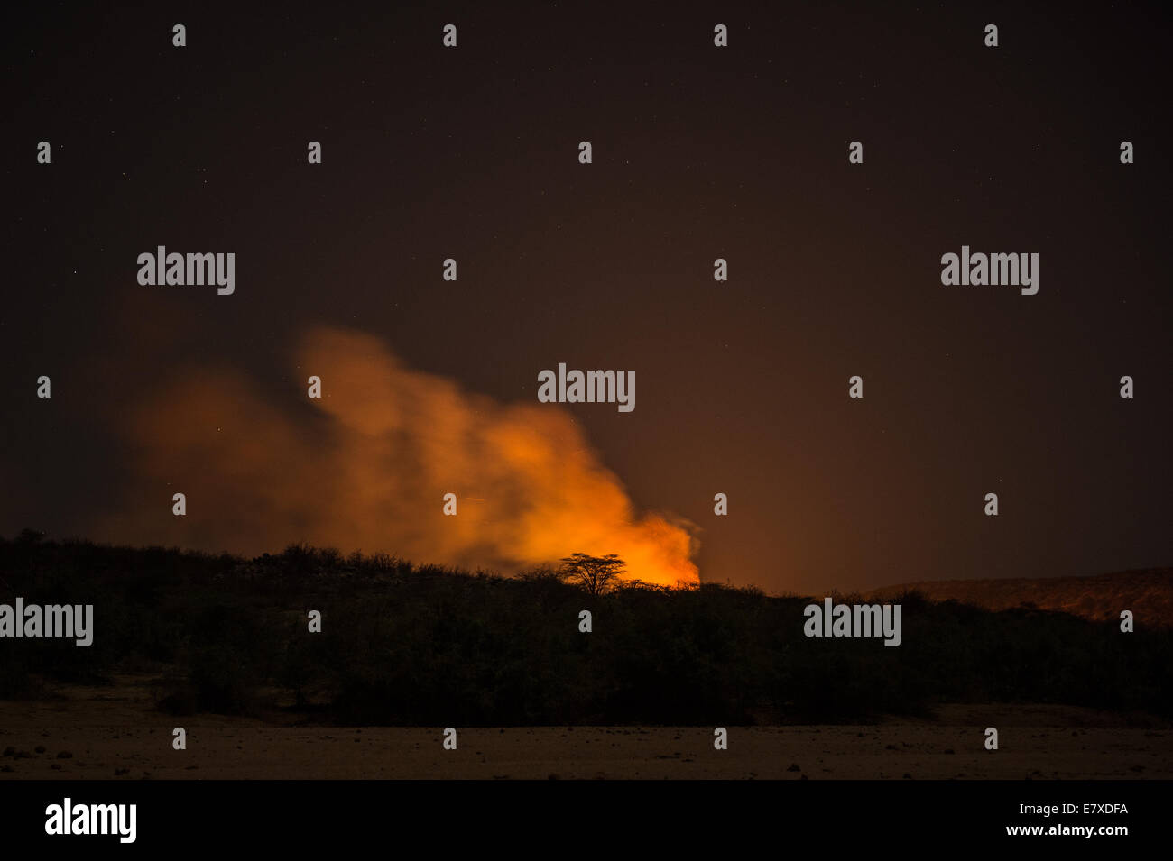 Palm trees burn where Samburu tribes try to chase wildlife away from