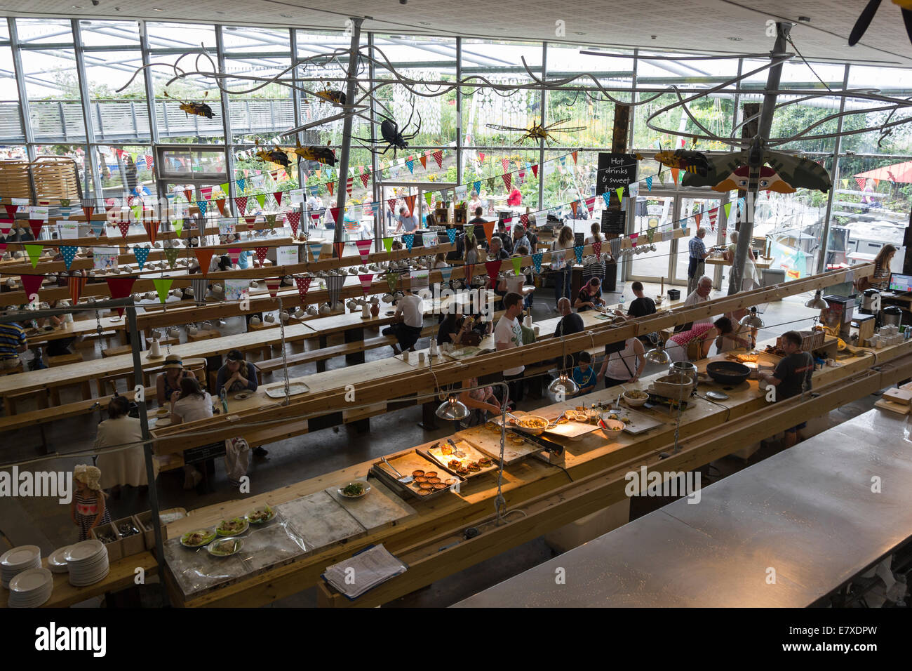 Restaurant between the biomes at the Eden Project in Cornwall Stock Photo