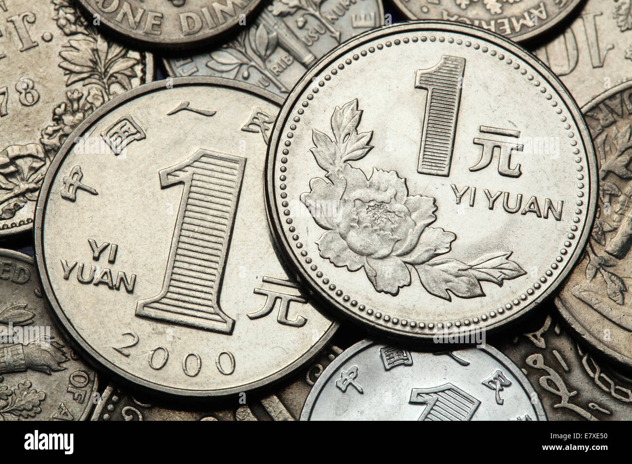 Coins of China. Peony flower depicted in the Chinese one Yuan coin. Stock Photo