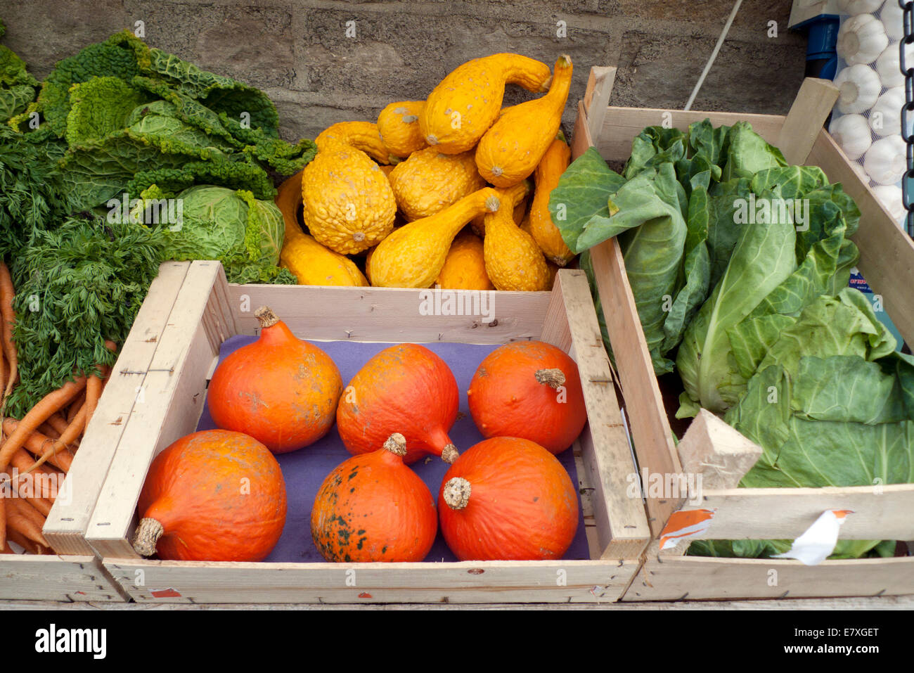 Onion squash, yellow summer squash, carrots and cabbages for sale on a