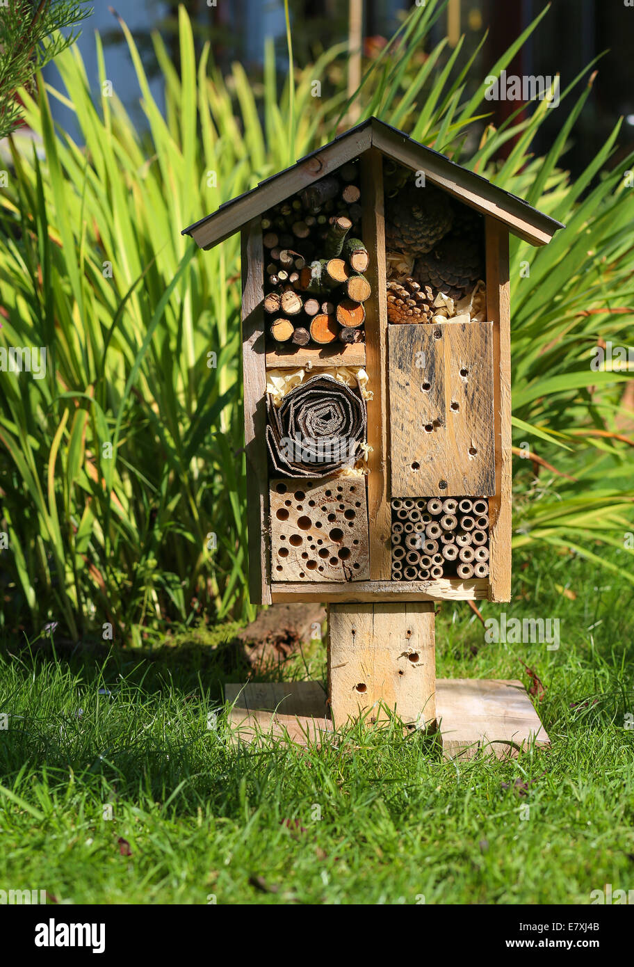 Wooden insect house decorative bug hotel, ladybird and bee home for