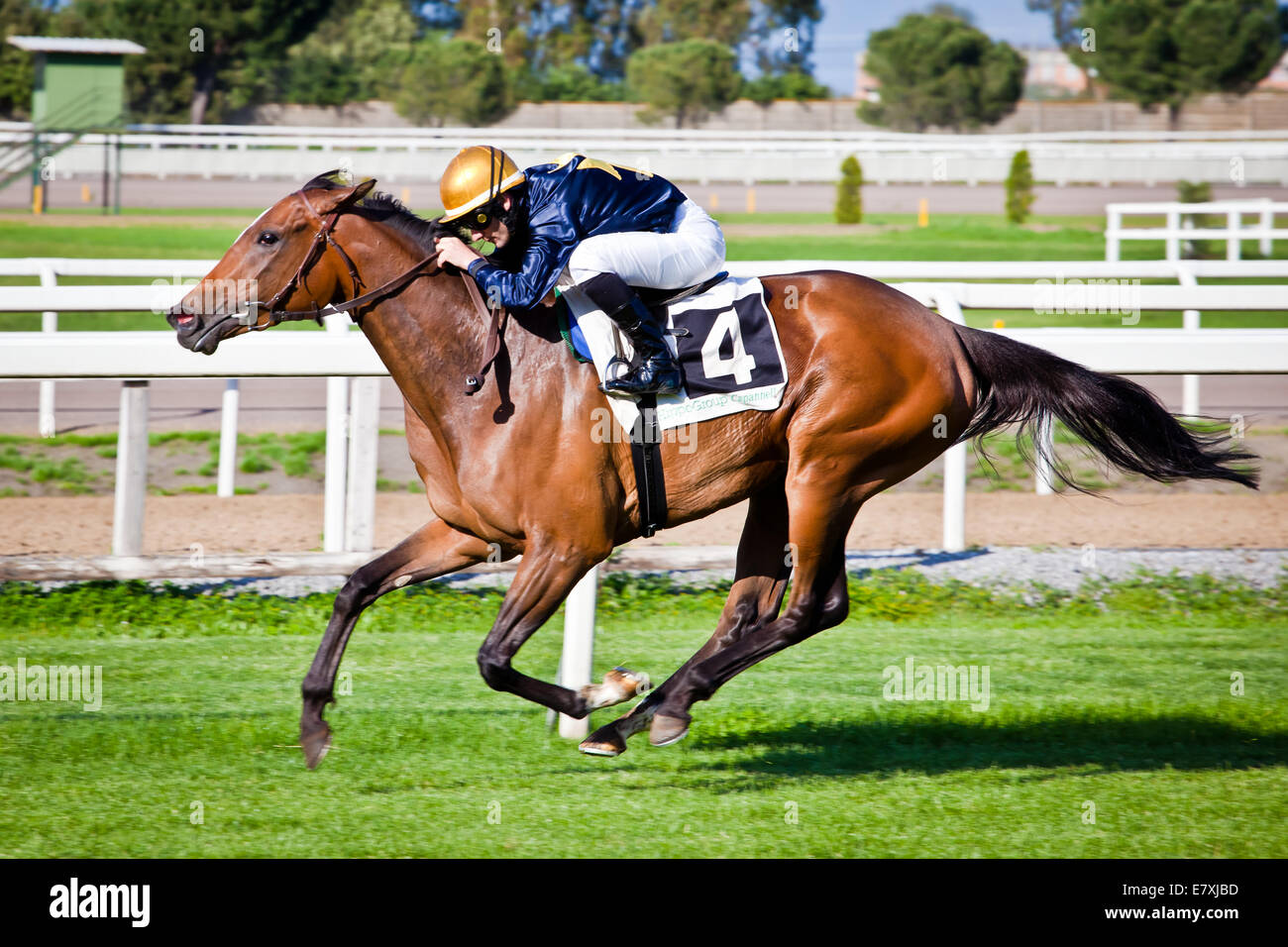 Rome, Italy, 01 May, 2014: Jockey rides horse during race one. Stock Photo