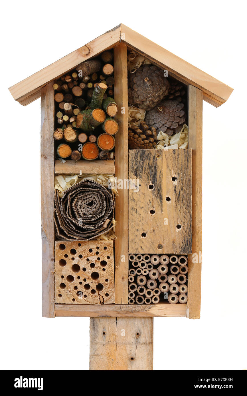 Wooden insect house decorative bug hotel, ladybird and bee home for