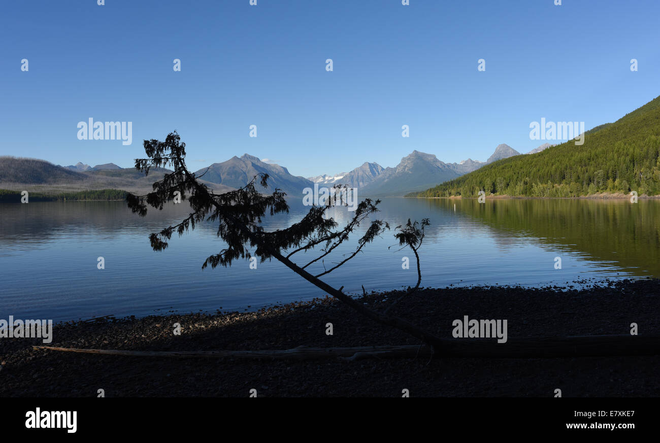 Apgar Stock Photos Apgar Stock Images Alamy