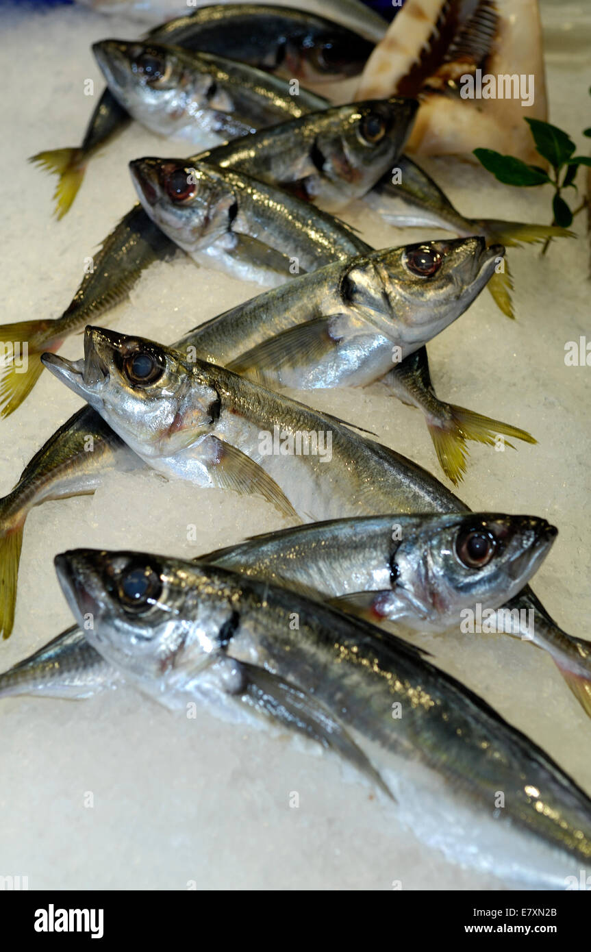 Fish Quantity Hi Res Stock Photography And Images Alamy