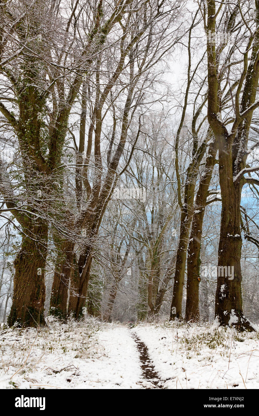 Castle Howard estate, North Yorkshire, England Stock Photo Alamy