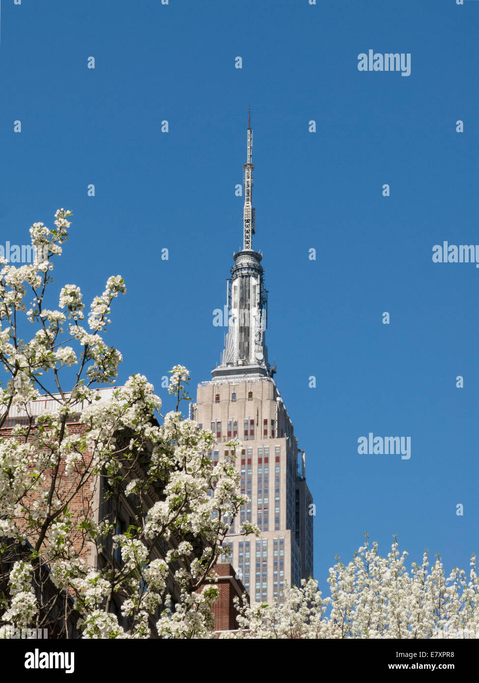 Empire state building portrait new hi-res stock photography and images ...