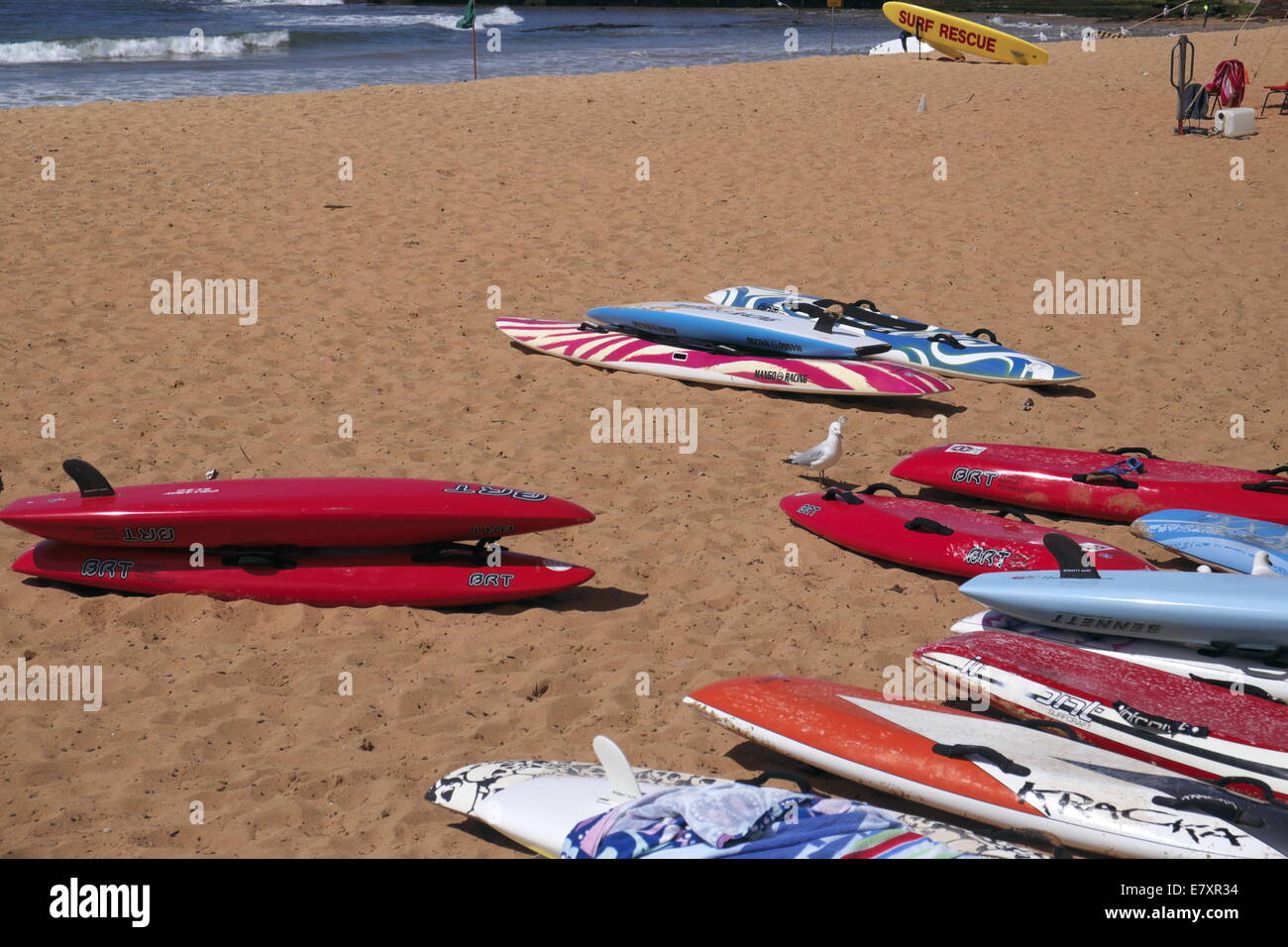 surfboards on collaroy beach, one of sydney's famous northern beaches