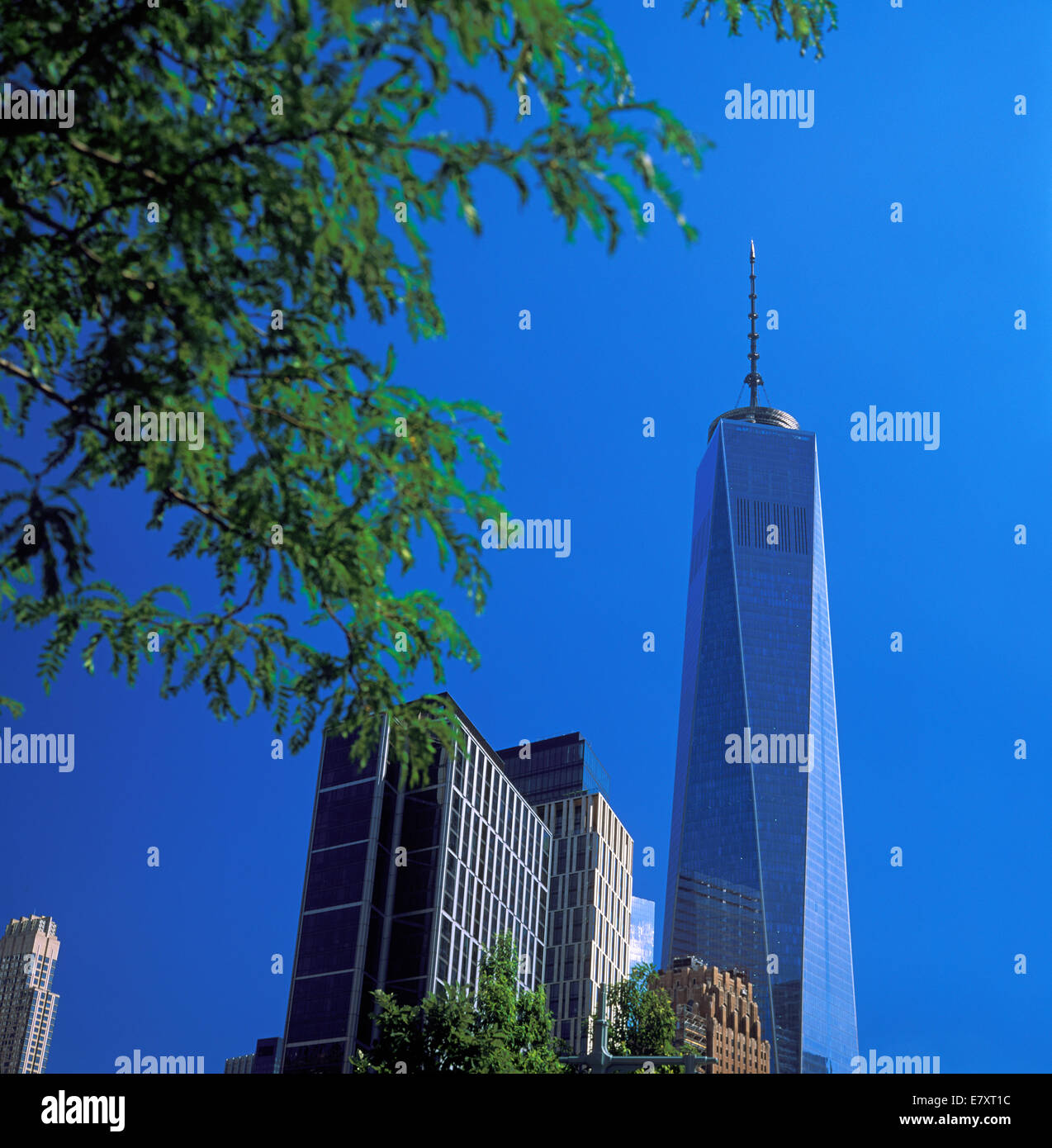 New York City looking up Stock
