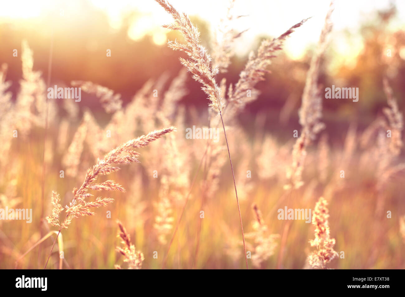 Peace and quiet hi-res stock photography and images - Alamy