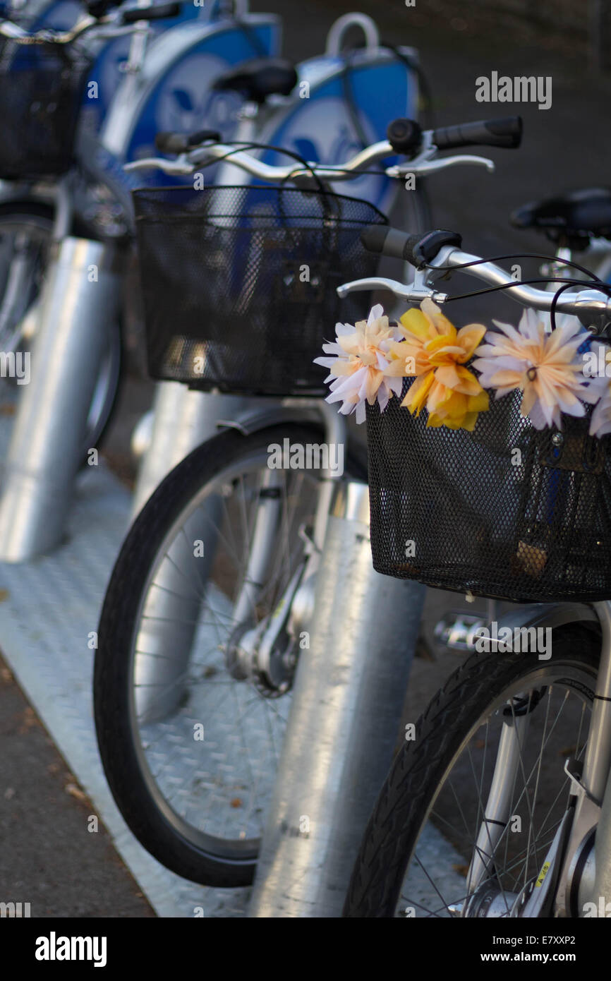 Bike rental in Bath, Somerset Stock Photo Alamy