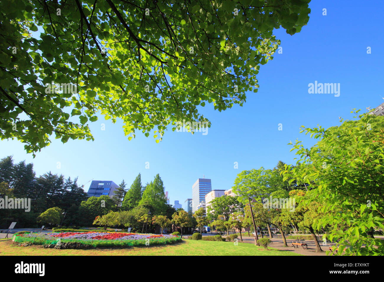 Miyagi Prefecture, Japan Stock Photo Alamy