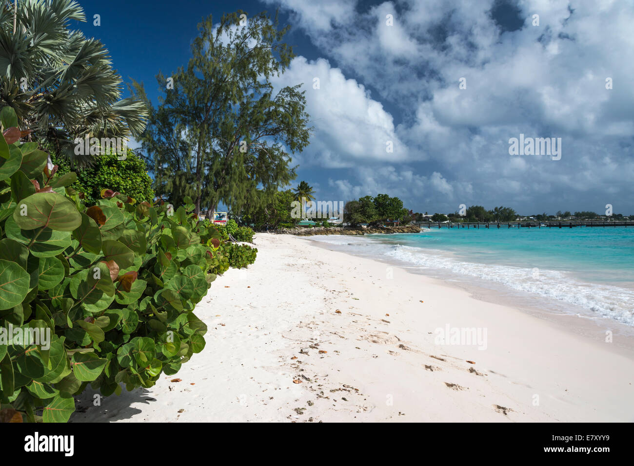 White sands beach at Oistins, south coast, Barbados Stock Photo Alamy