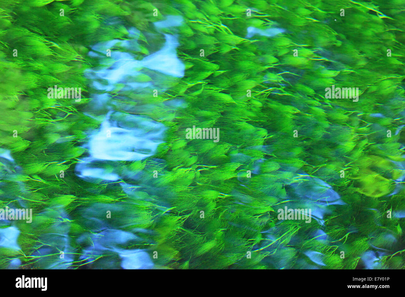 Close view stream vivid hi res stock photography and images Alamy