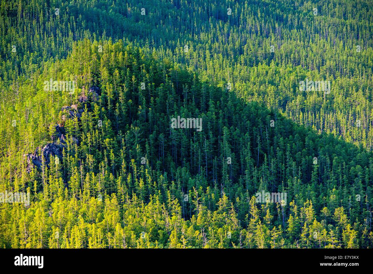 Taiga aerial hi-res stock photography and images - Alamy
