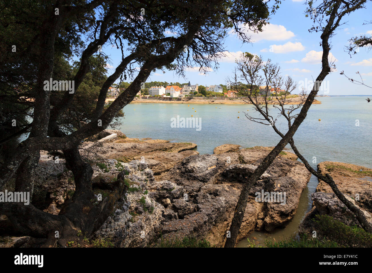 Worn calcareous rocks and trees frame the bay of Saint Palais France. Stock Photo