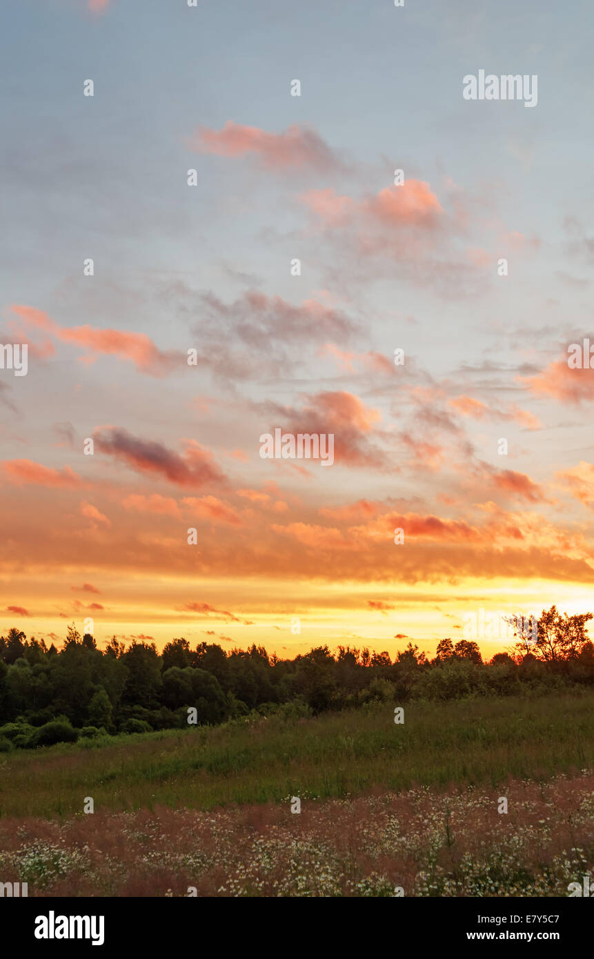 Sunrise over a meadow Stock Photo - Alamy
