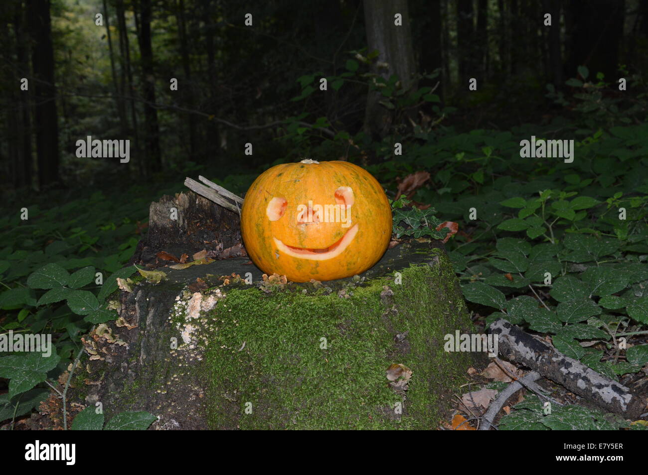 Halloween is a yearly celebration observed in a number of countries on 31.October the eve of the