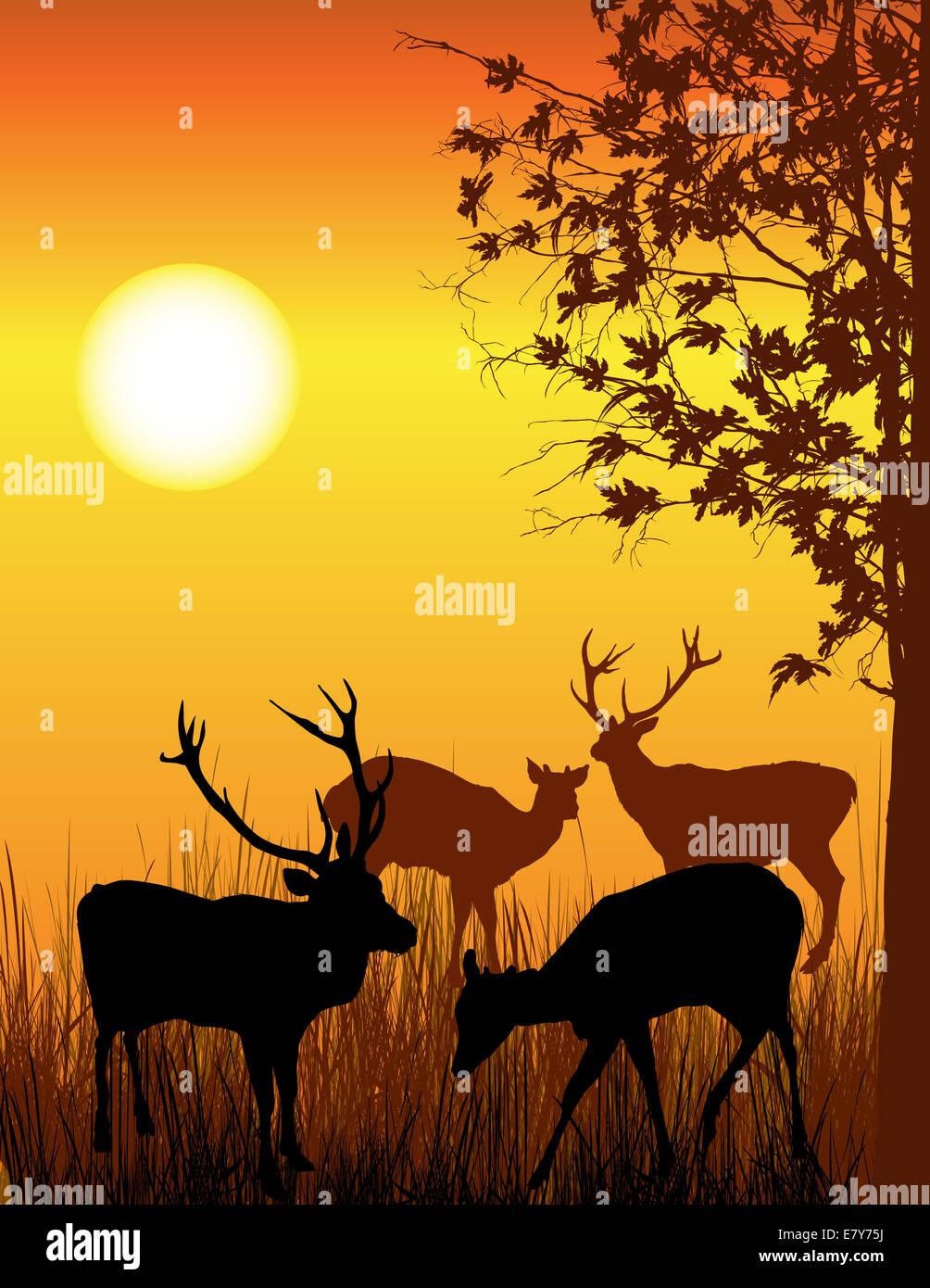 Background illustration of wild deer in forest Stock Photo - Alamy