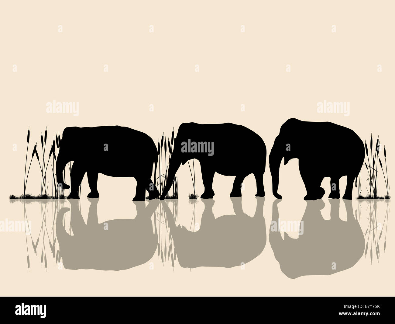 Background illustration with wild elephants in the water Stock Photo ...