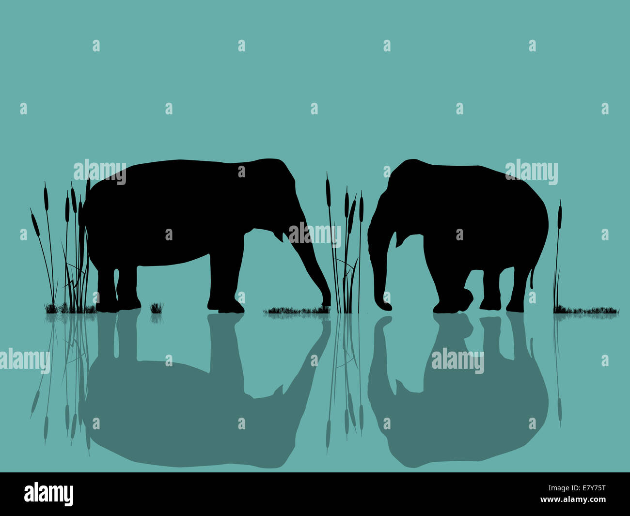 Background illustration with wild elephants in the water Stock Photo ...