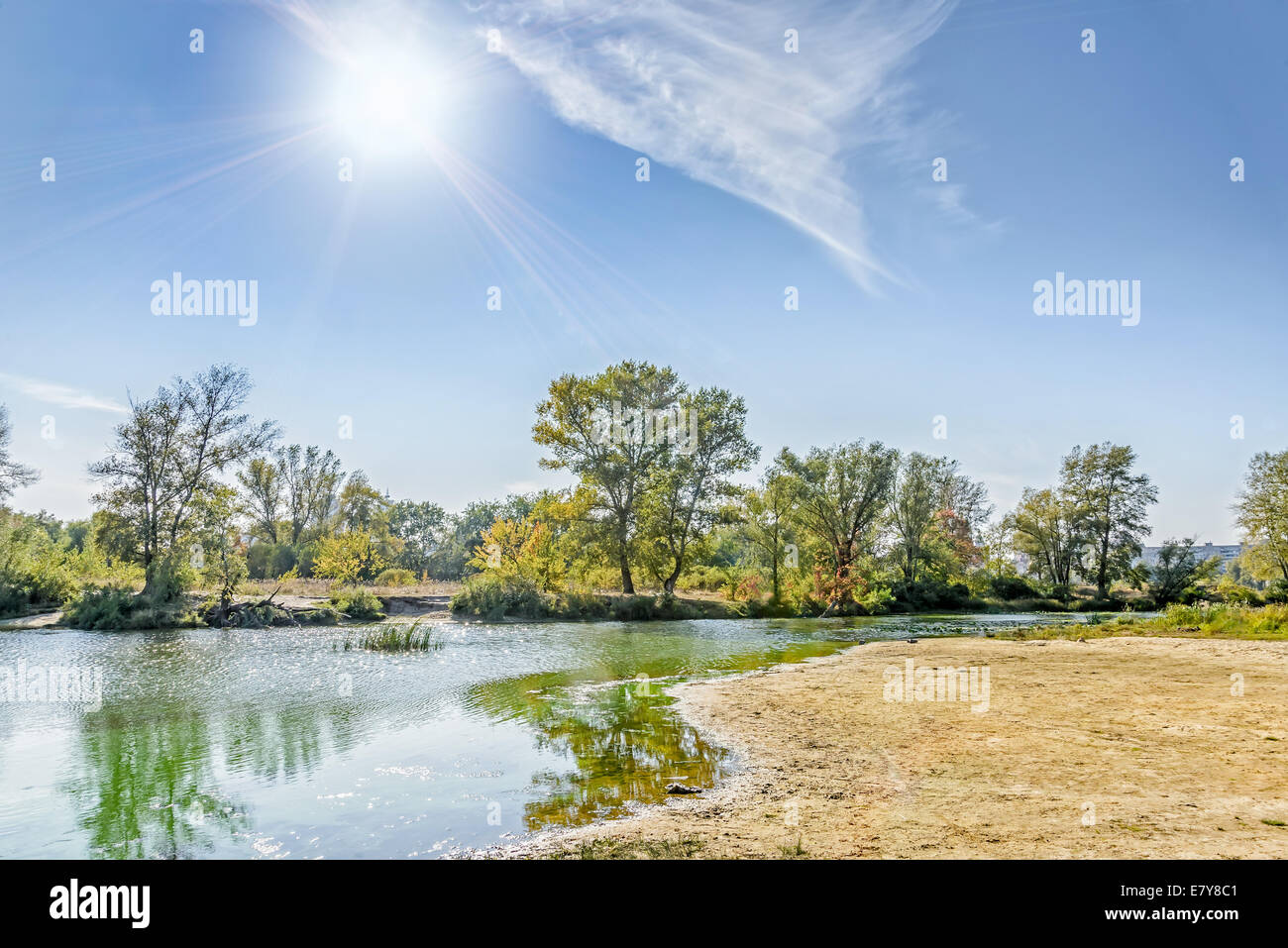Nice end of summer day close to the river with reeds and trees around. Strong backlighting Stock Photo