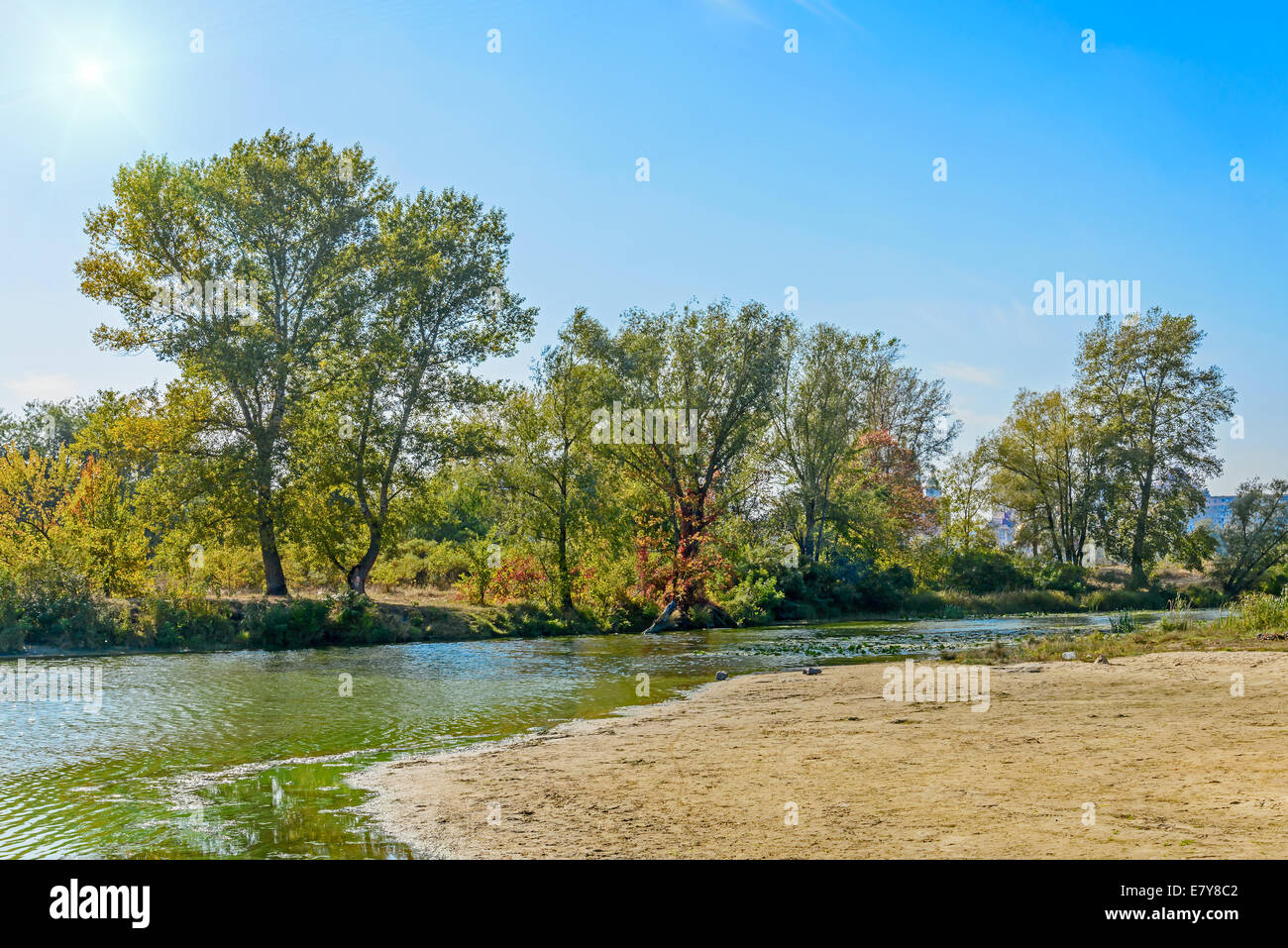 Nice end of summer day close to the river with reeds and trees around. Strong backlighting Stock Photo