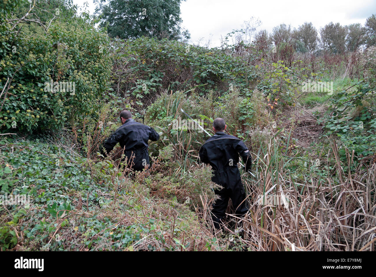 London, UK. 26th Sep, 2014. Police search canal side ditch at the bottom of Elthorne Park in the hunt for missing schoolgirl Alice Gross, Elthorne Park, Hanwell, London. Credit:  Maurice Savage/Alamy Live News Stock Photo